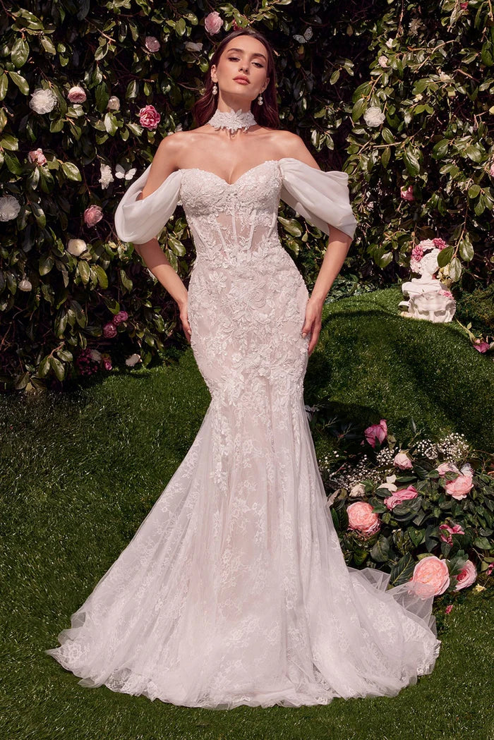 VIOLETTE Lace Mermaid Wedding Dress with Shawl