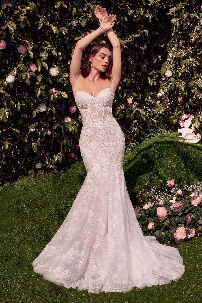 VIOLETTE Lace Mermaid Wedding Dress with Shawl
