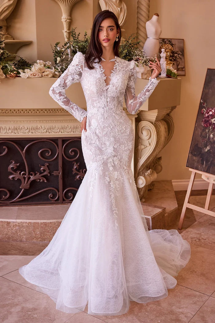 ROSHIA Lace Long Sleeve Mermaid Wedding Dress