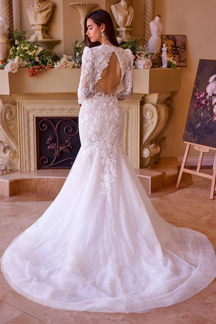 ROSHIA Lace Long Sleeve Mermaid Wedding Dress