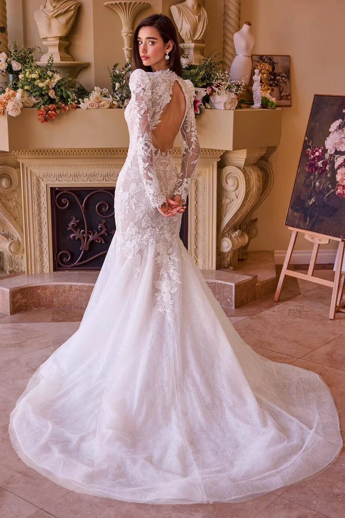 ROSHIA Lace Long Sleeve Mermaid Wedding Dress