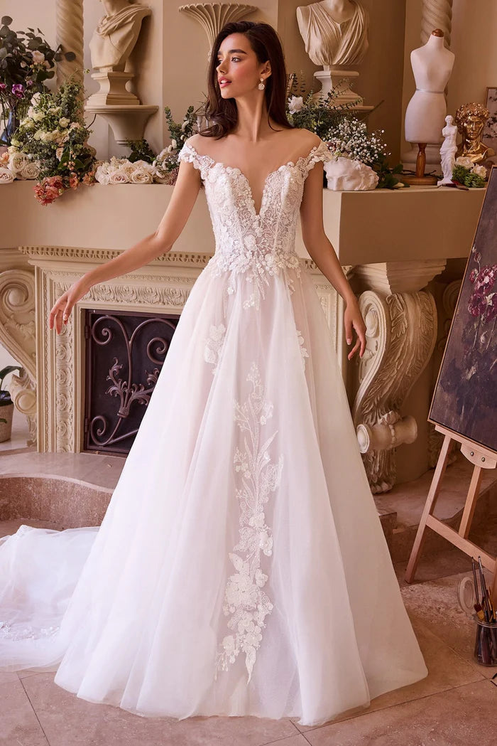 ZAHARA Lace Illusion Neck Ball Gown Wedding Dress
