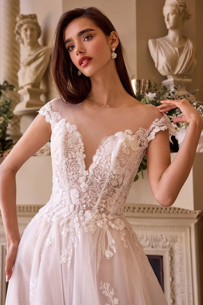 ZAHARA Lace Illusion Neck Ball Gown Wedding Dress