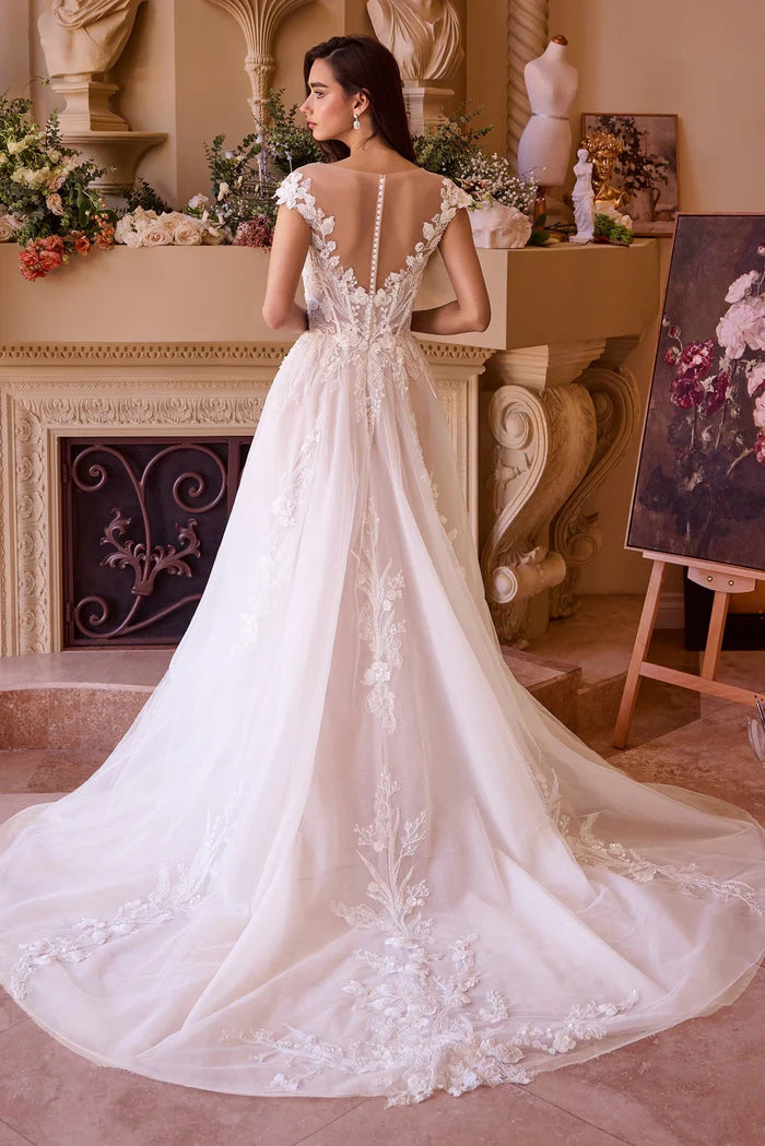 ZAHARA Lace Illusion Neck Ball Gown Wedding Dress