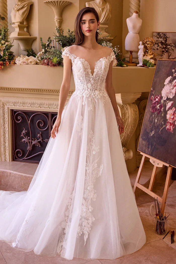 ZAHARA Lace Illusion Neck Ball Gown Wedding Dress