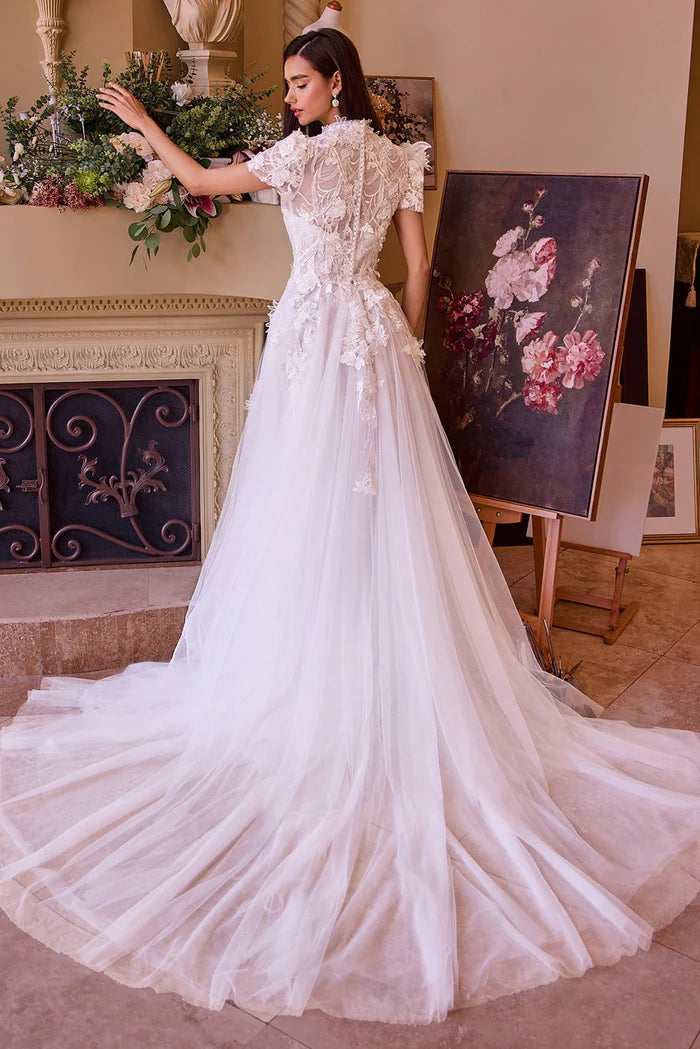 RILEY Convertible Lace Ball Gown Wedding Dress