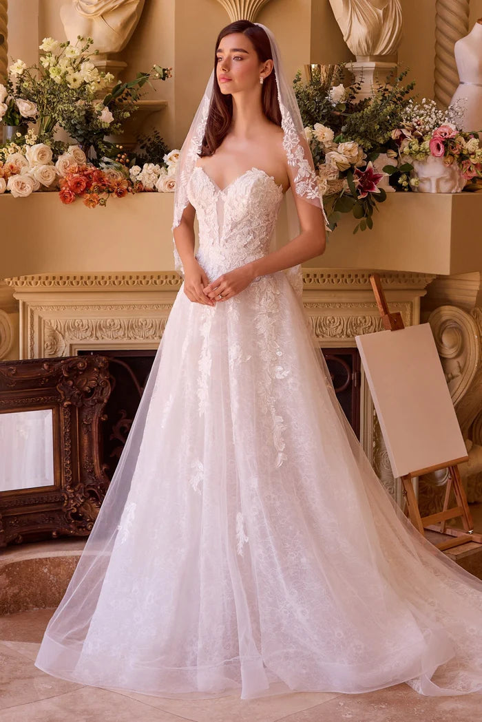 ROSA Lace Ball Gown Wedding Dress