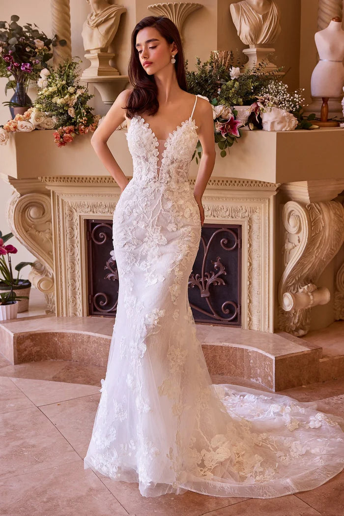 SCARLET Lace Fit & Flare Wedding Dress with Straps