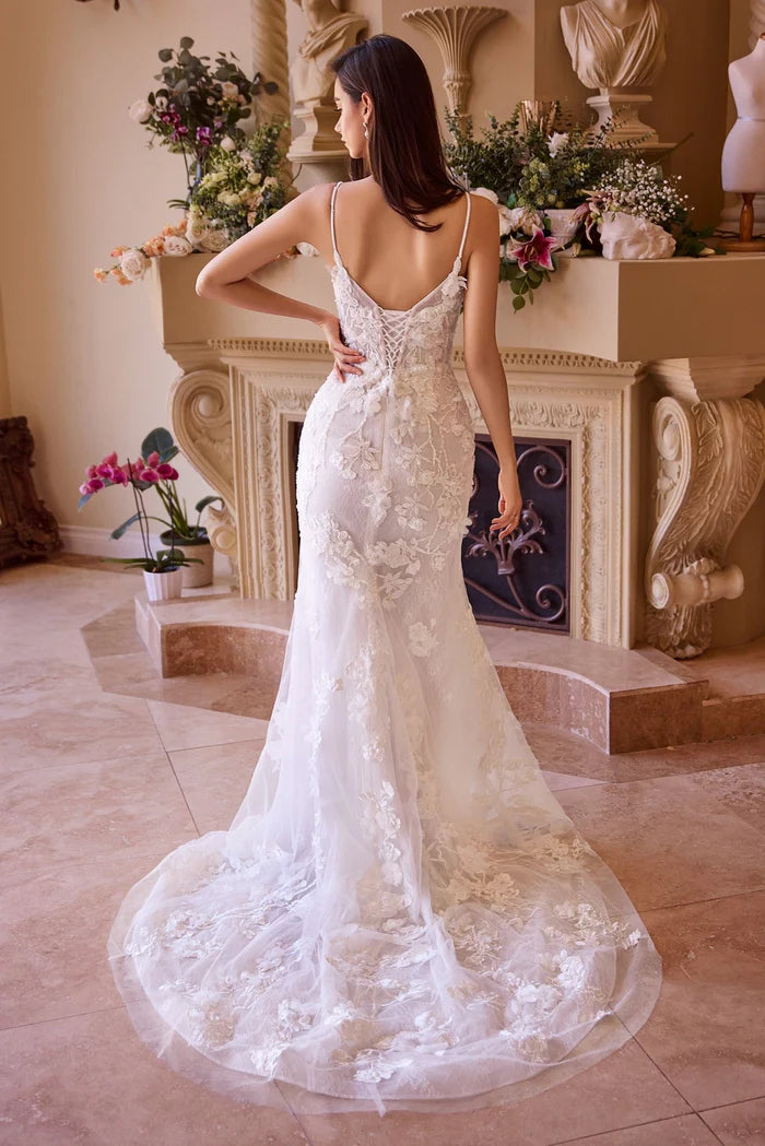 SCARLET Lace Fit & Flare Wedding Dress with Straps