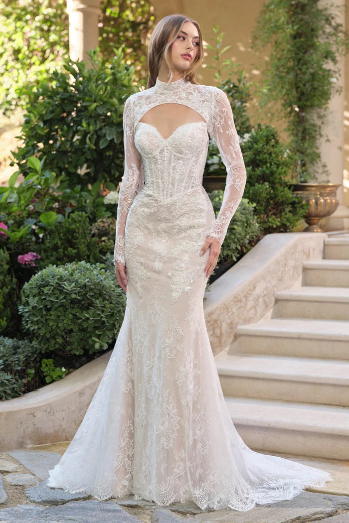 NOVELLA Lace Mermaid Wedding Dress with Bolero