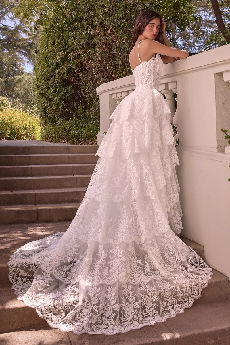 AMINA Floral Lace Corset A-Line Wedding Dress