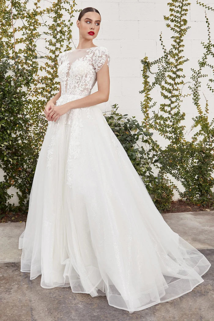 ELOISE Lace Bateau Ball Gown Wedding Dress