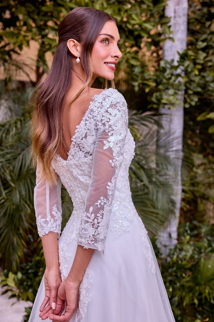 ALICIA Long Sleeve Lace Ball Gown Wedding Dress