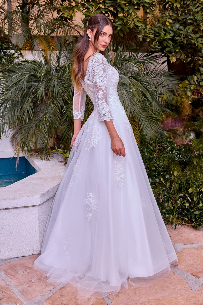 ALICIA Long Sleeve Lace Ball Gown Wedding Dress