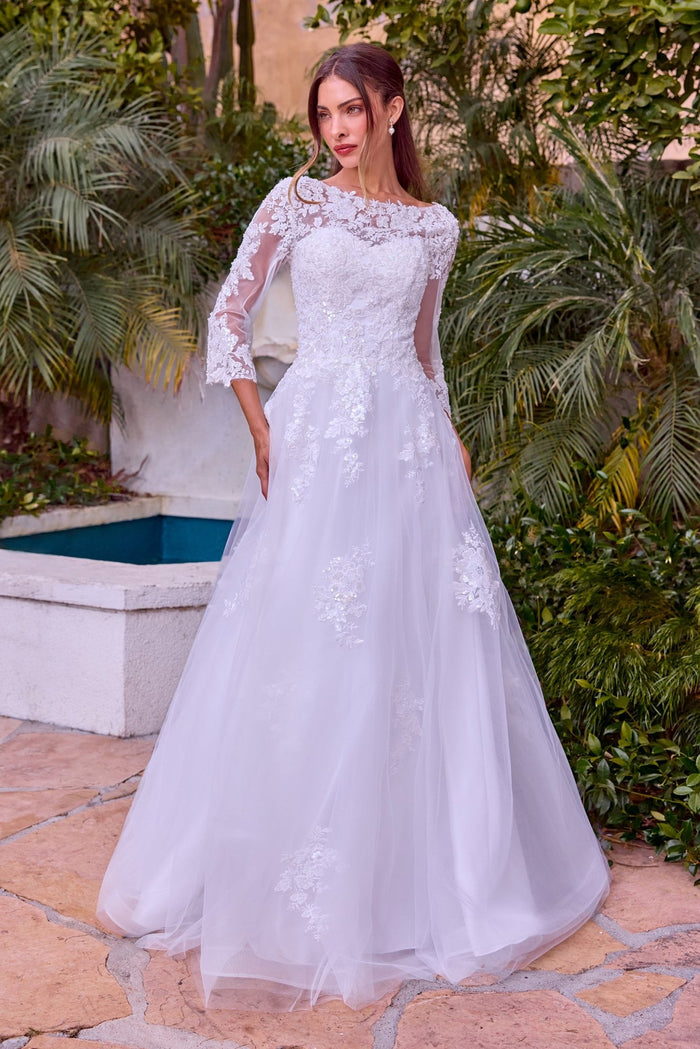 ALICIA Long Sleeve Lace Ball Gown Wedding Dress
