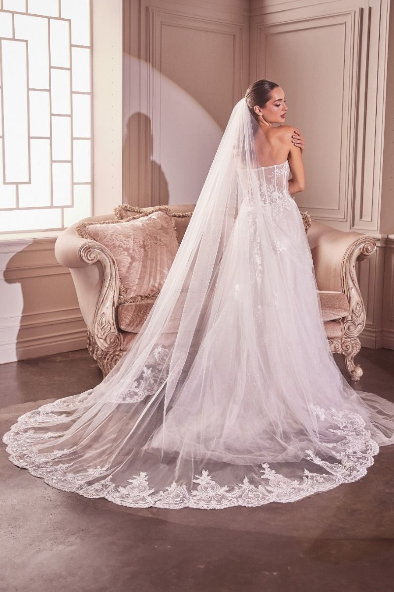 ABIGAIL Embroidered Lace Chapel Bridal Veil