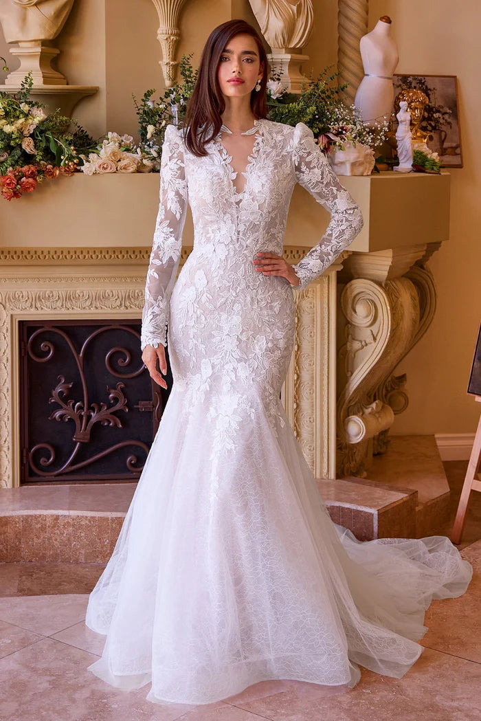 ROSHIA Lace Long Sleeve Mermaid Wedding Dress