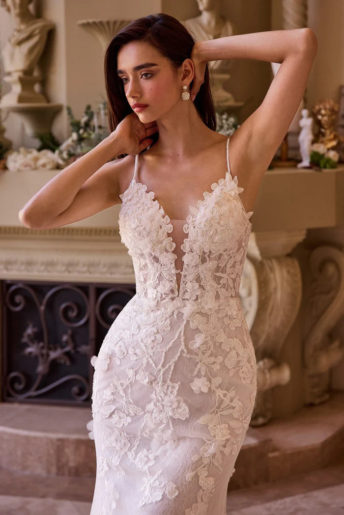 SCARLET Lace Fit & Flare Wedding Dress with Straps
