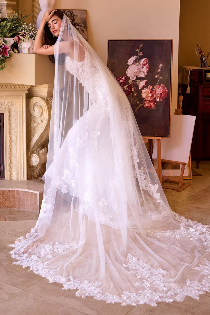 SCARLET Lace Fit & Flare Wedding Dress with Straps