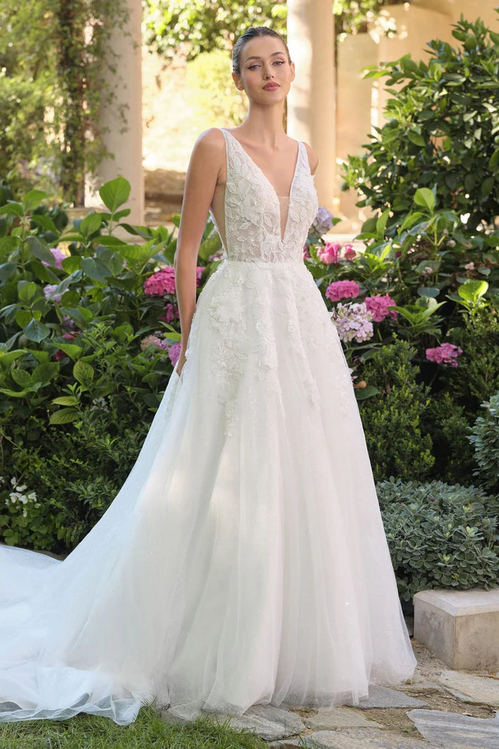 SUSIE Lace Ball Gown Wedding Dress with V-Neck